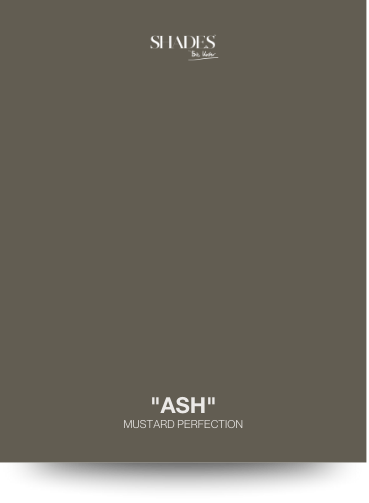 Color Card - Ash