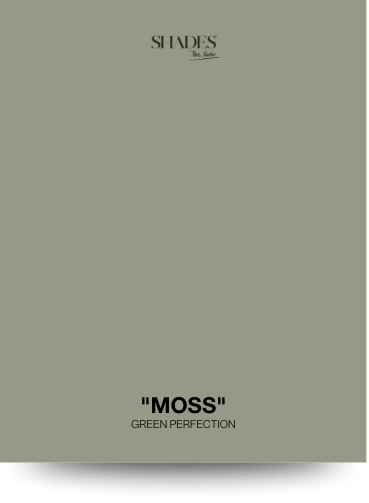 Color Card - Moss