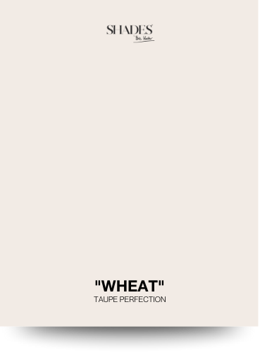 Color Card - Wheat