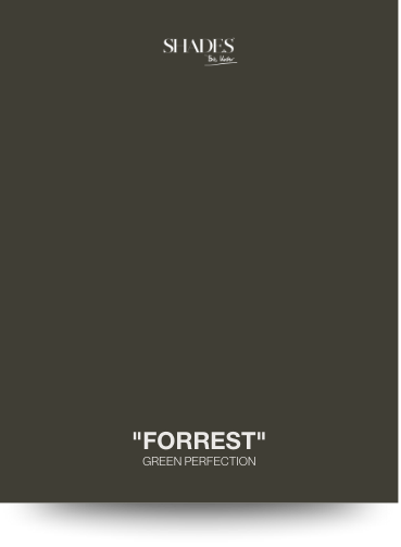 Color Card - Forest