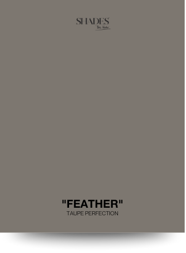 Color Card - Feather