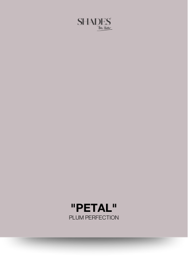 Color Card - Petal