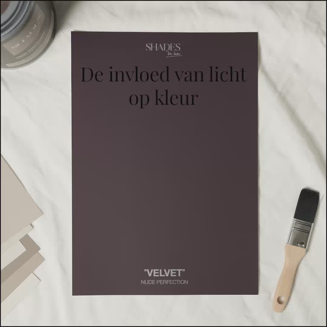 Color Card - Velvet