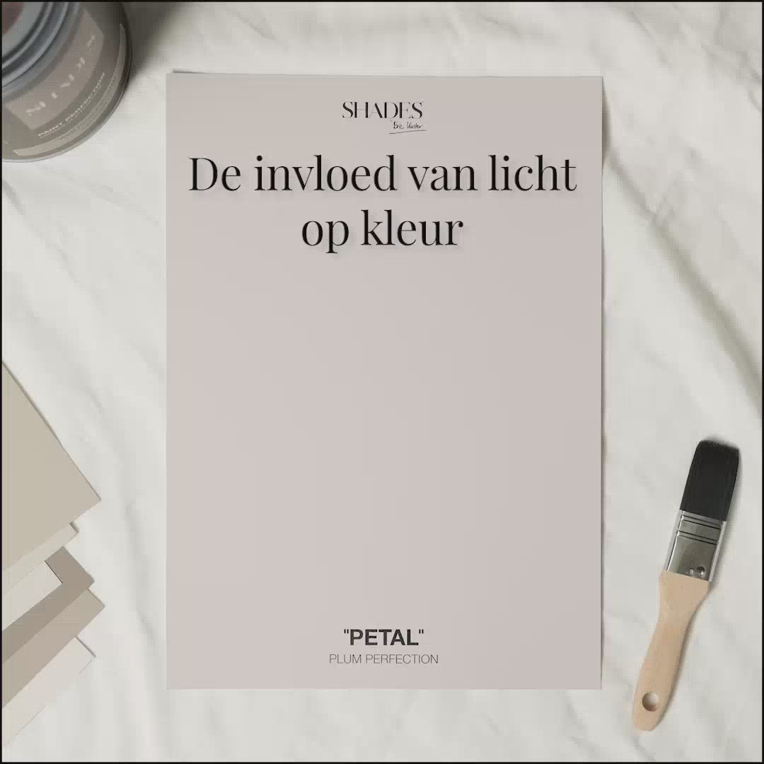 Color Card - Petal