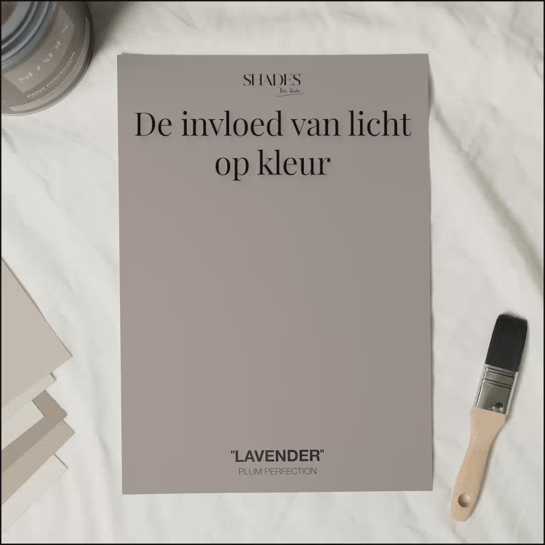 Color Card - Lavender