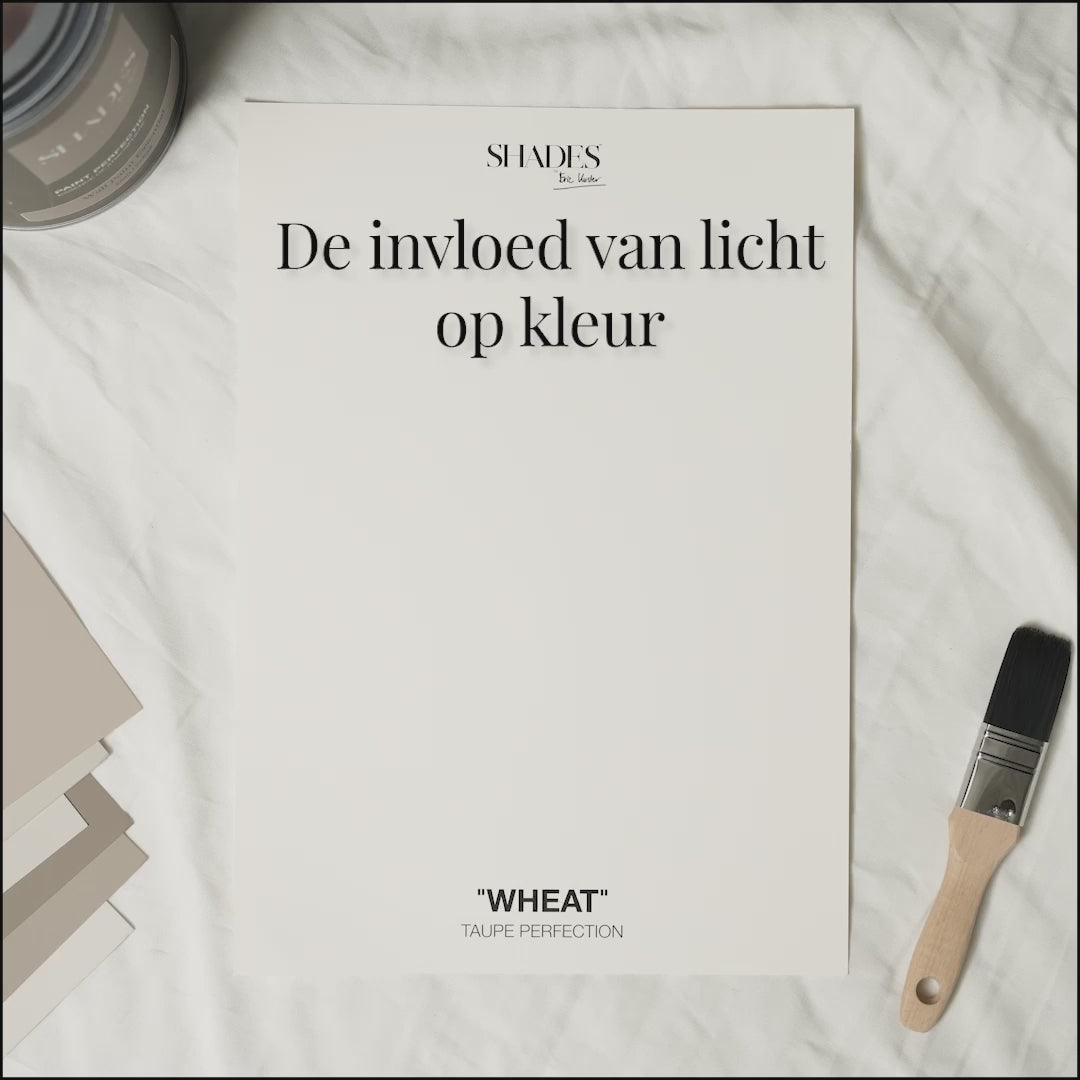 Color Card - Wheat