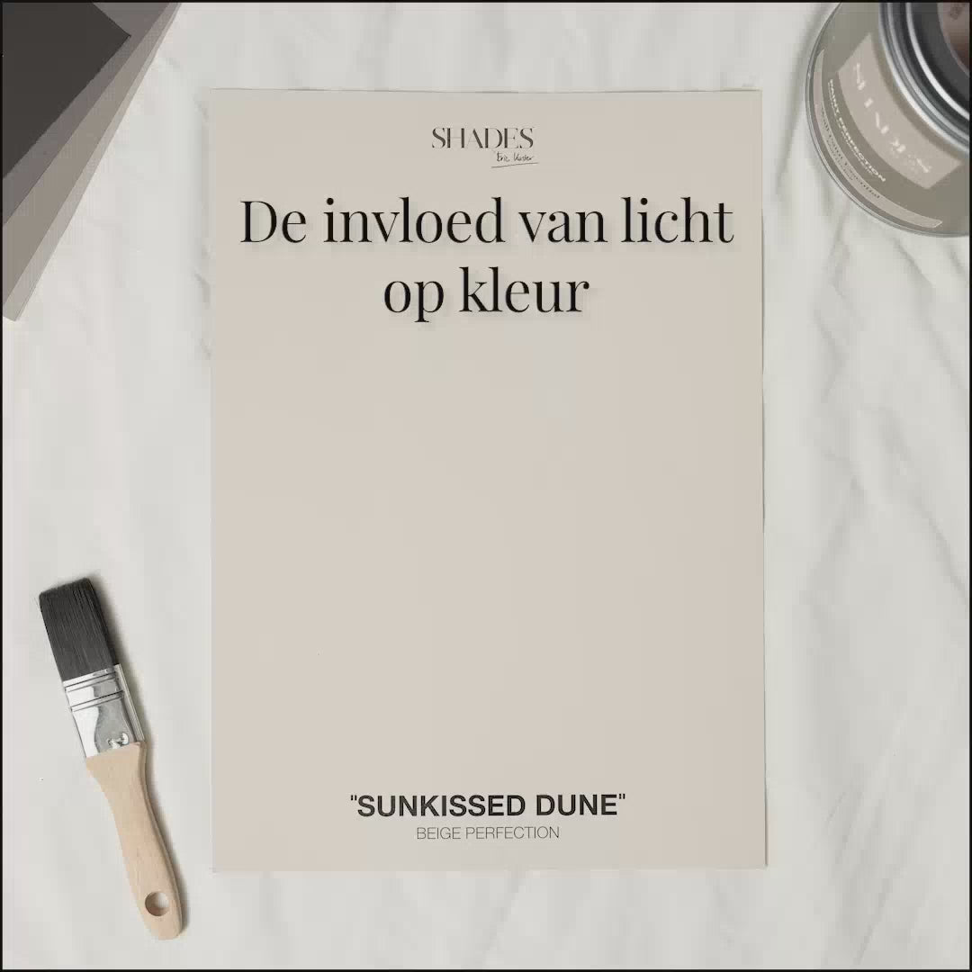 Sunkissed Dune Wall Scrub