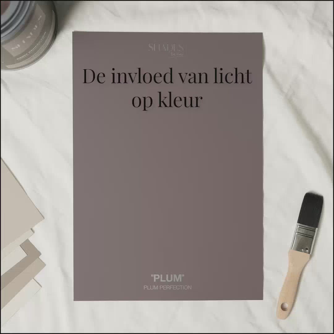 Color Card - Plum