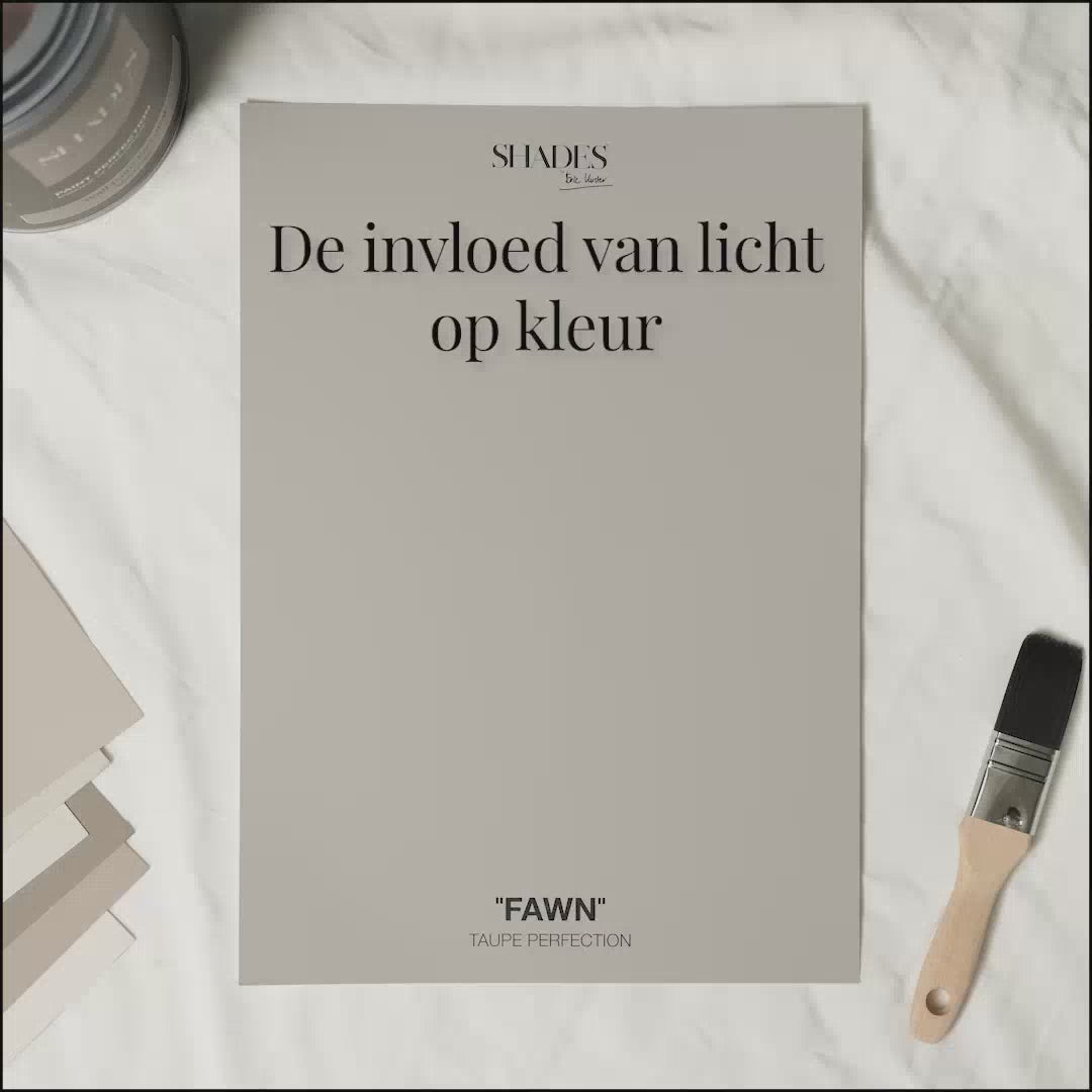 Color Card - Fawn