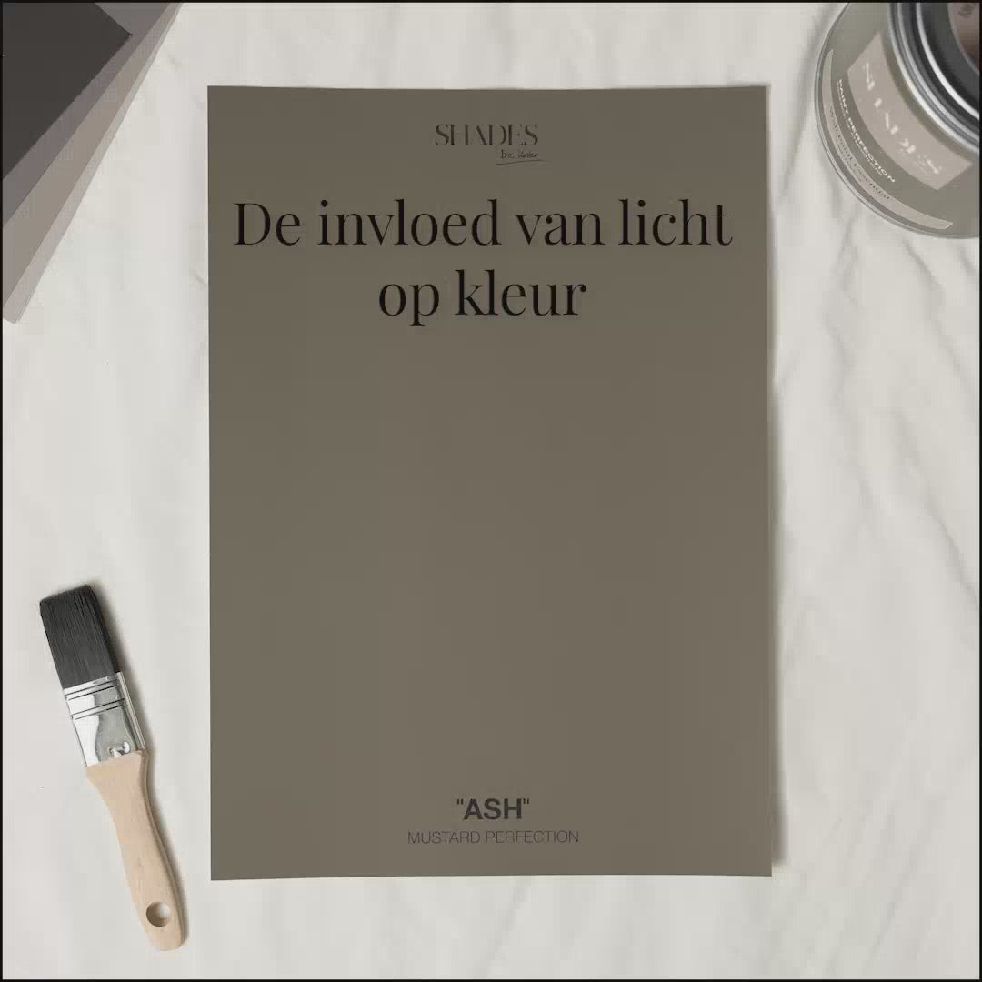Ash muurverf 100 ml tester