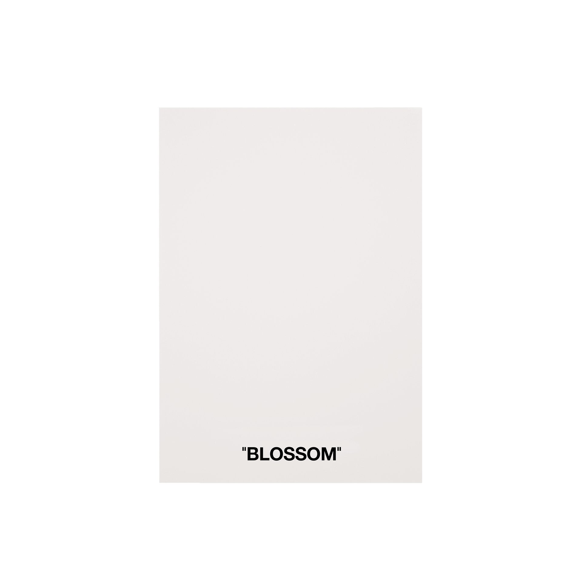 Color Card - Blossom